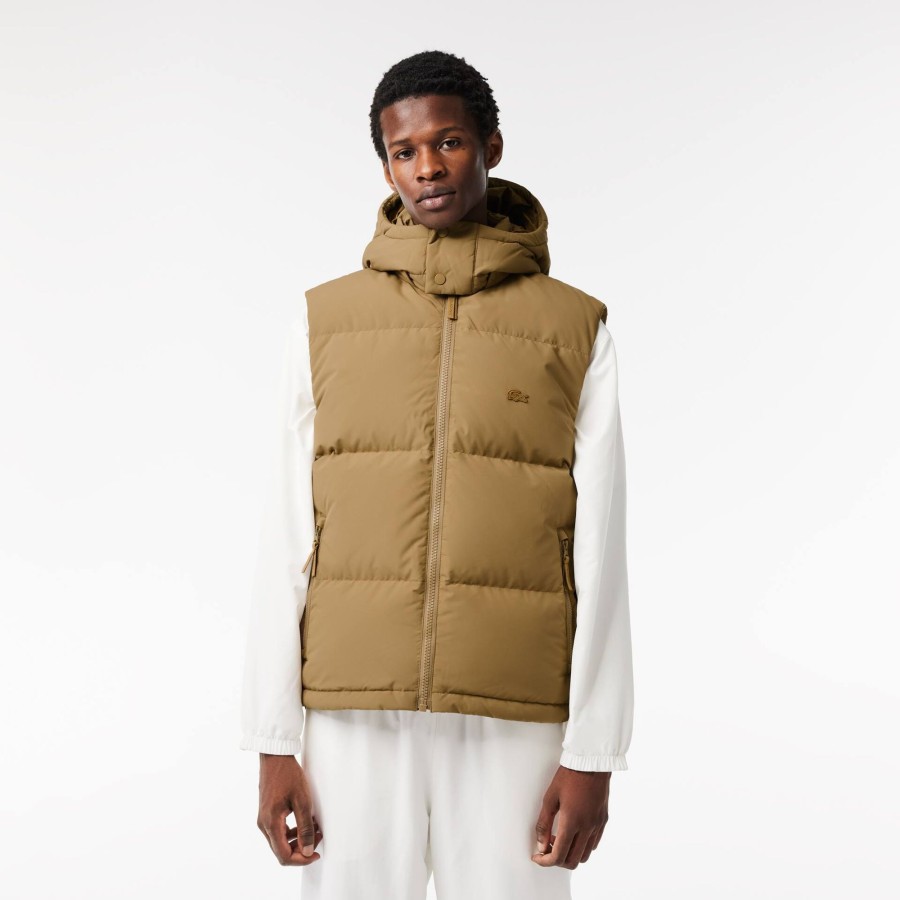 Men Lacoste Jackets & Coats | Down Gilet With Quilted Crocodile Brown