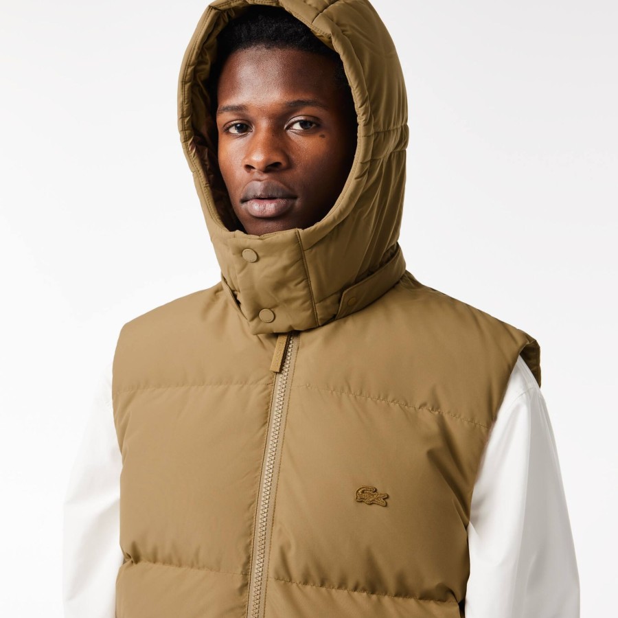 Men Lacoste Jackets & Coats | Down Gilet With Quilted Crocodile Brown